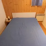 Апартаменты Schuss *